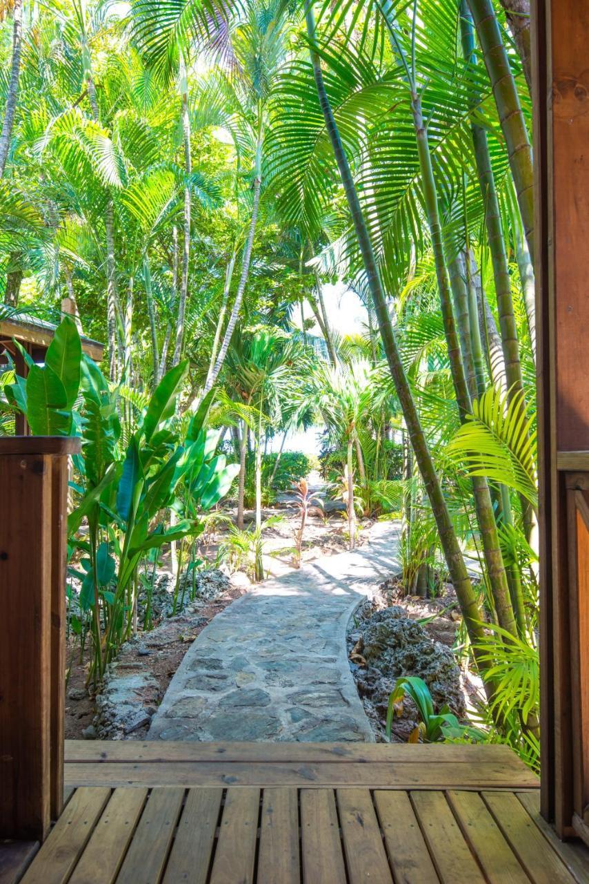 Las Rocas Resort And Dive Center West Bay Exterior photo